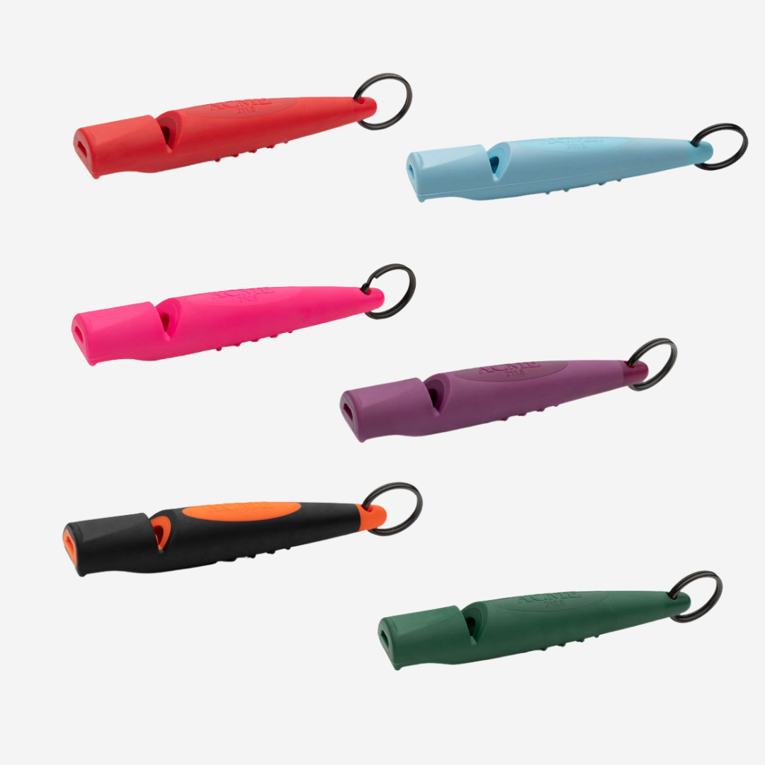 Lanyard & Whistle Bundle