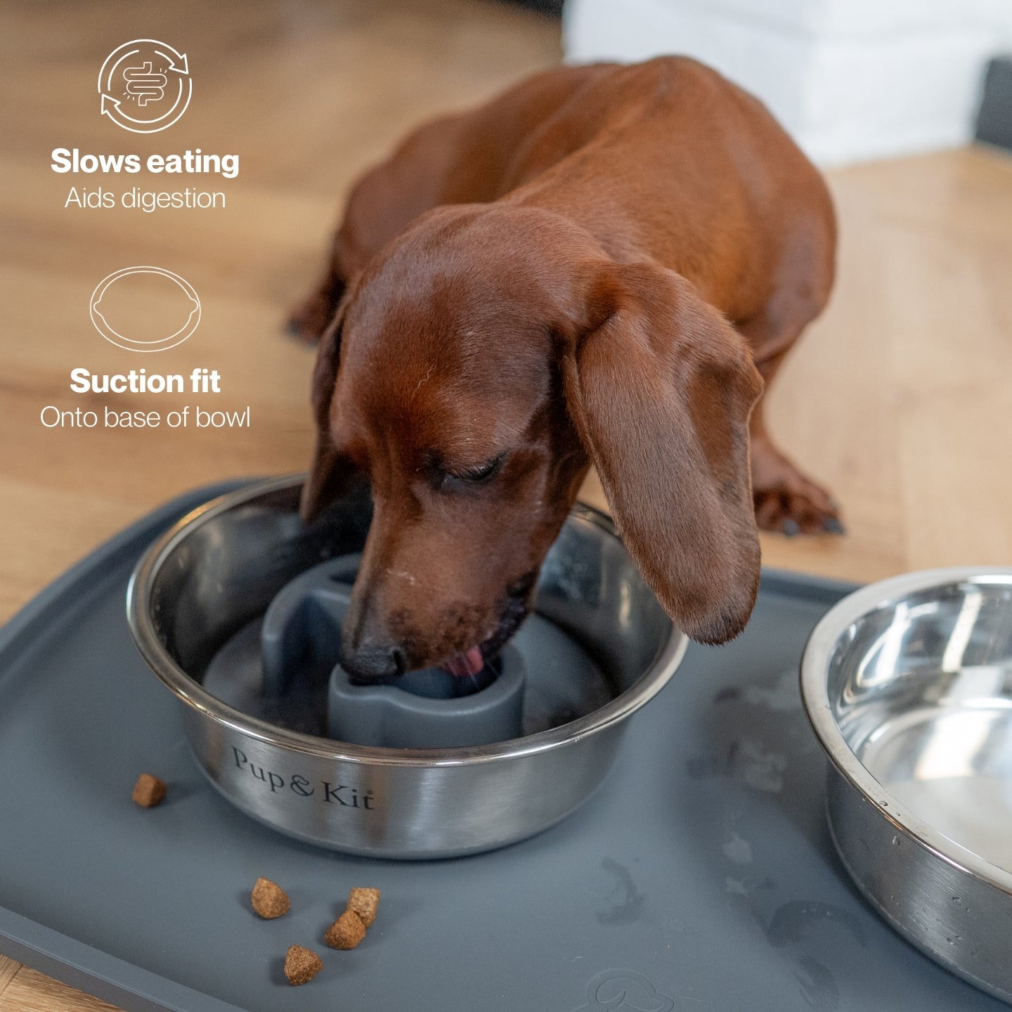 Lid-It Slow Feeder Insert