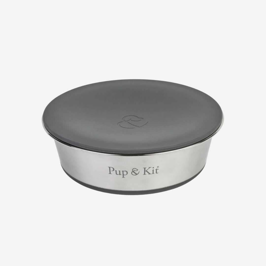 Lid-It Non Slip Sealable Bowl