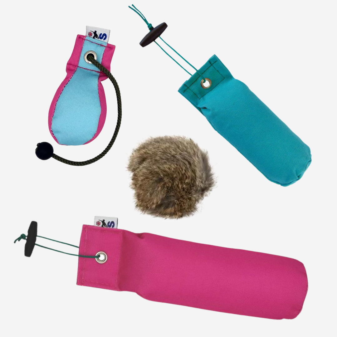 Gundog 101 Pack
