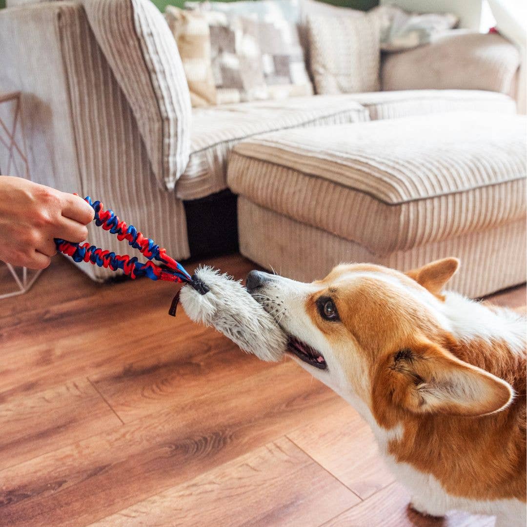 Faux Fur Pocket Bungee Squeaker | Squeaky Toys | Tug-E-Nuff