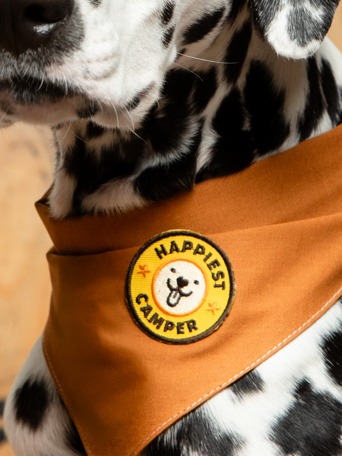 Happiest Camper iron-on patch for dogs