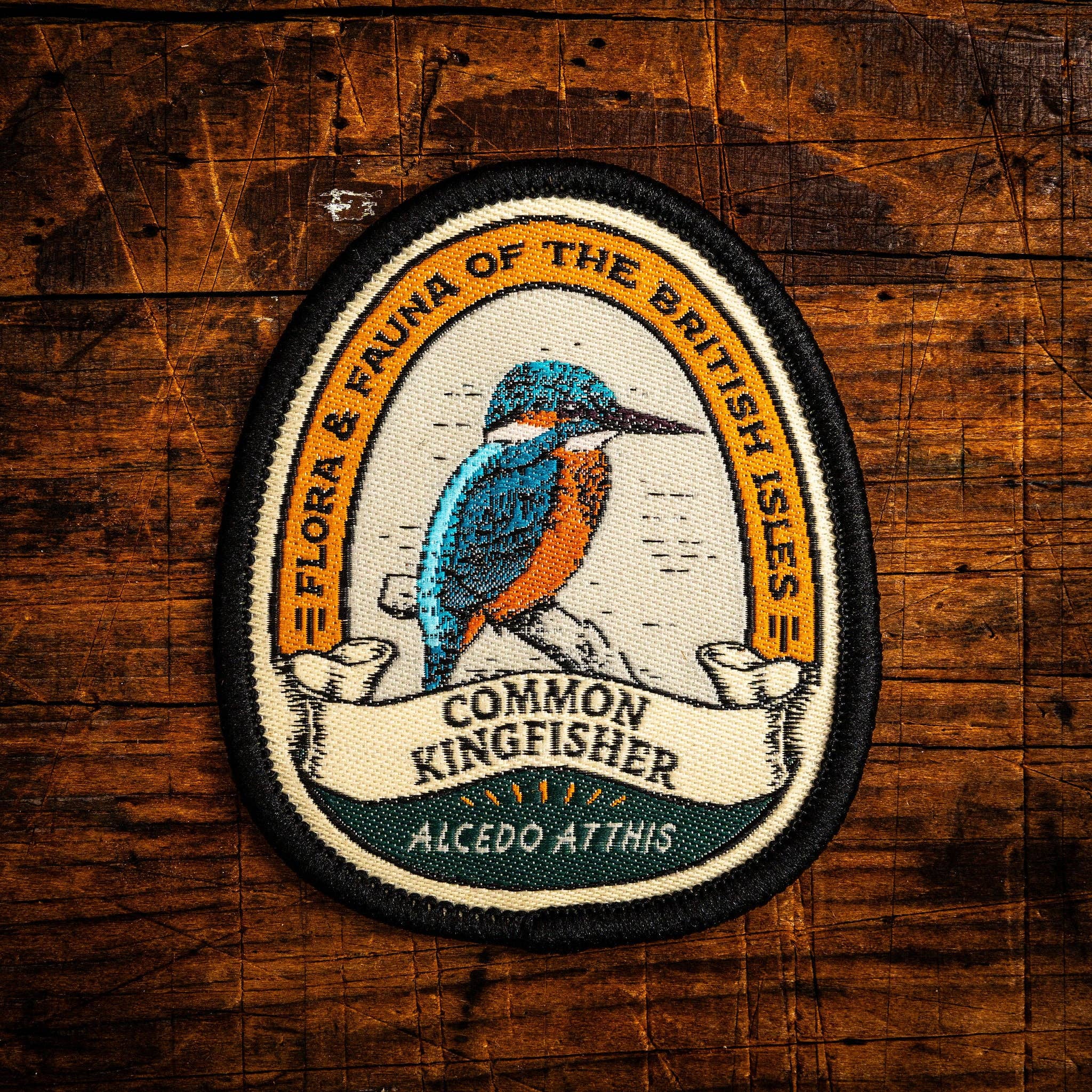 Common Kingfisher patch