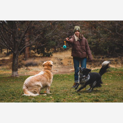Ruffwear Huck-a-Cone™