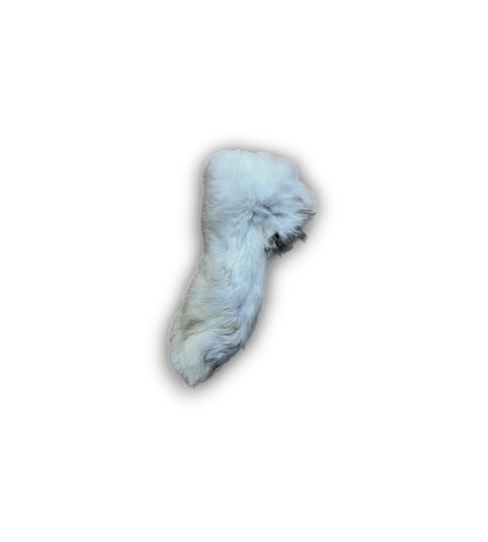 Hairy Rabbit Feet | 10 Pack