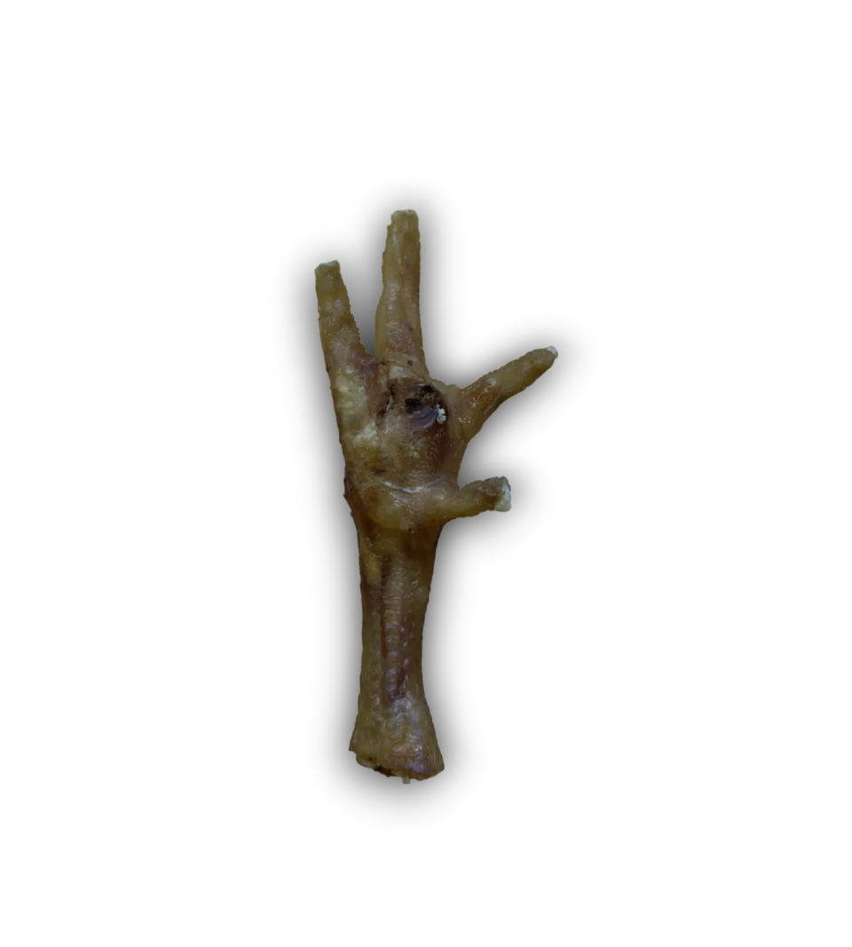Dried Chicken Feet | 10 Pack