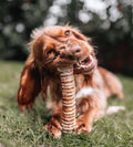 Bully Tubes