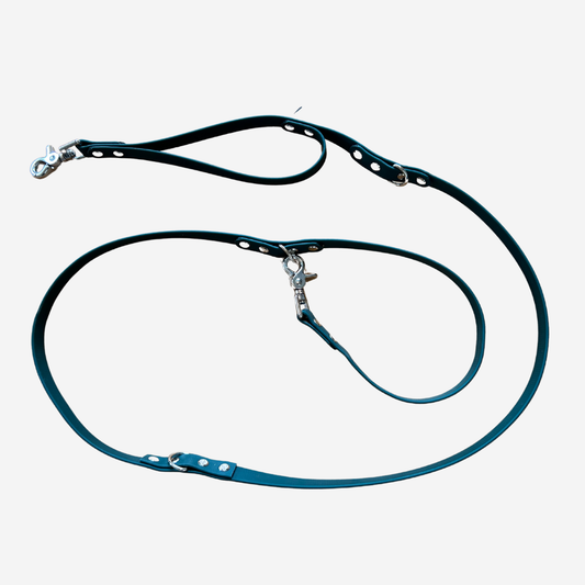 Rambler Biothane Training Lead | Biothane Dog Training Lead