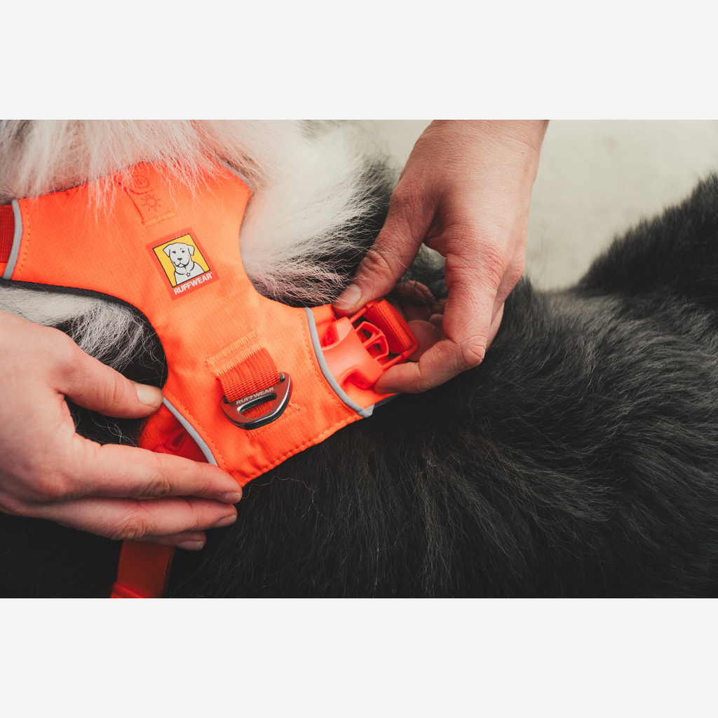 Ruffwear Front Range® Dog Harness