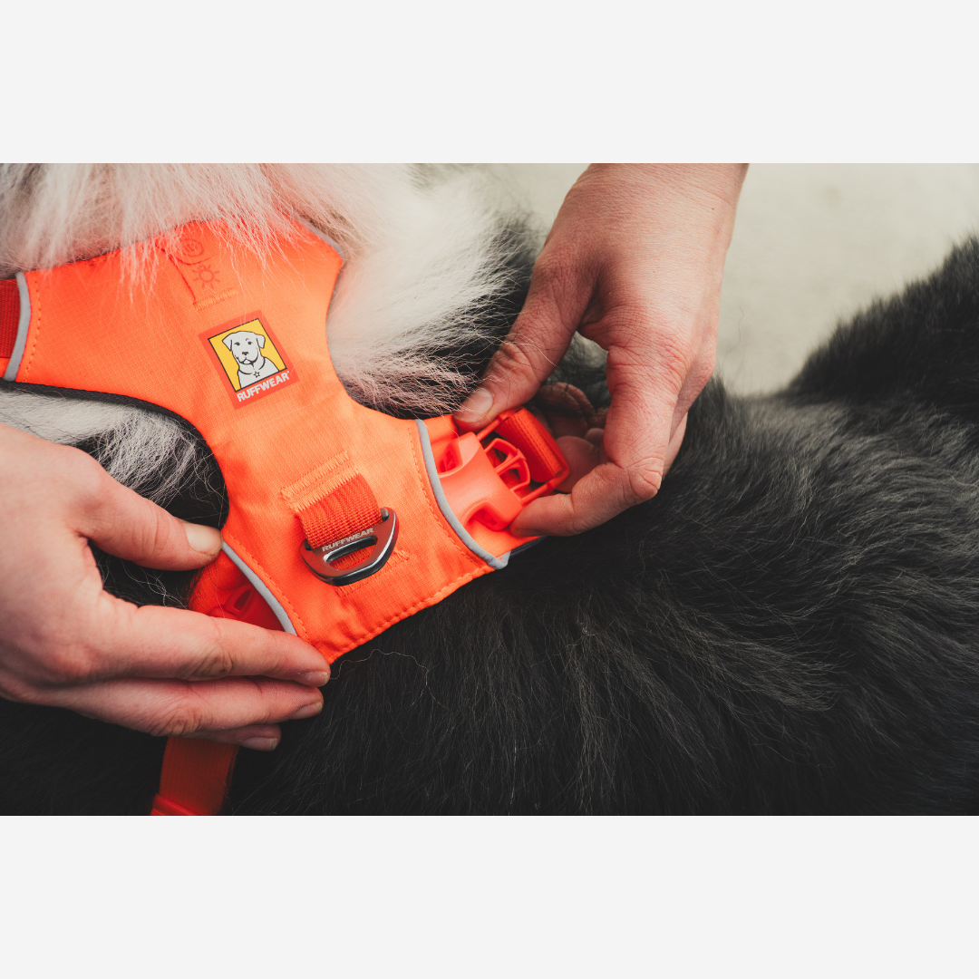 Ruffwear Front Range® Dog Harness