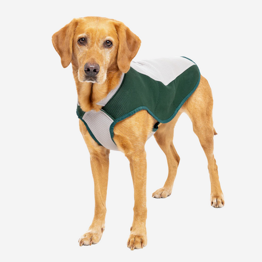 Ruff & Tumble Cooling Coat