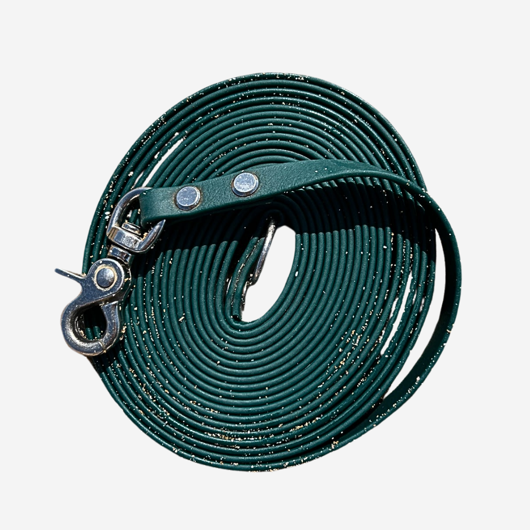 Pathfinder Biothane Longline | Biothane Longline for Dogs | Main Image