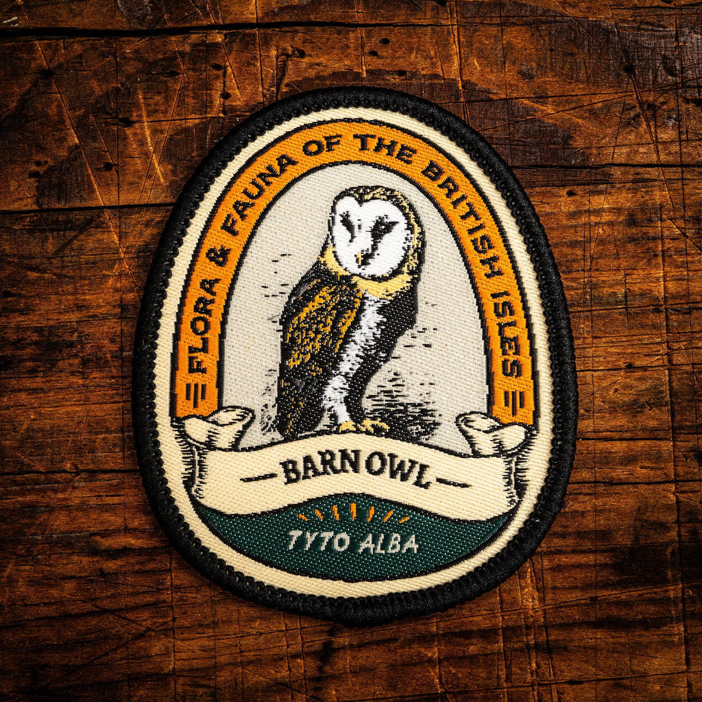 Barn Owl patch
