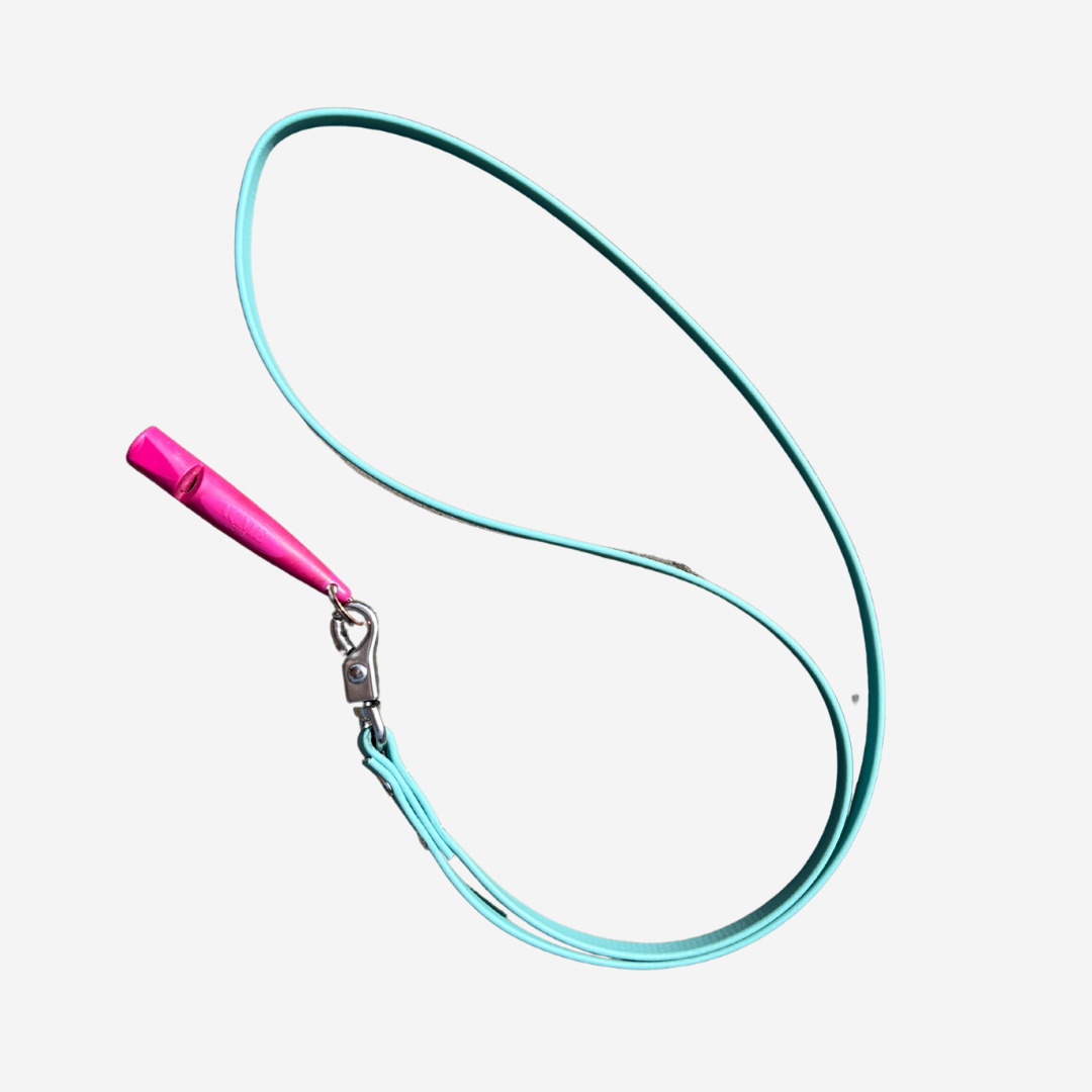 Biothane Lanyard