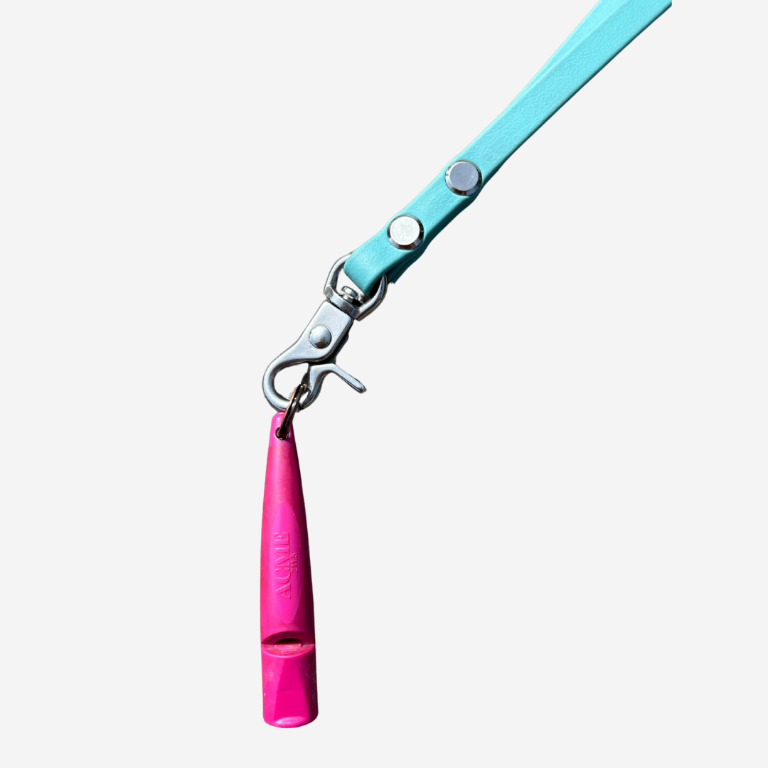 Biothane Lanyard