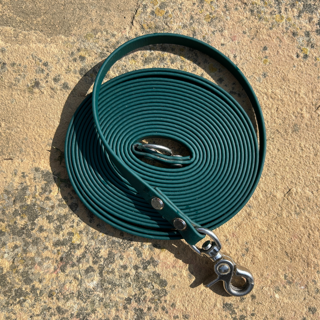 Pathfinder Biothane Longline for Dogs | Close Up