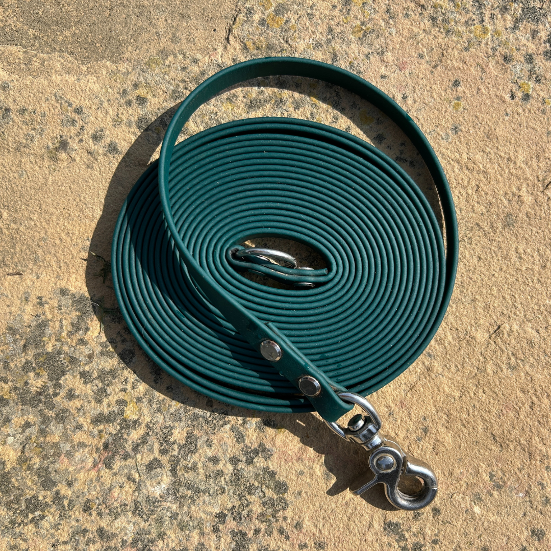 Pathfinder Biothane Longline for Dogs | Close Up