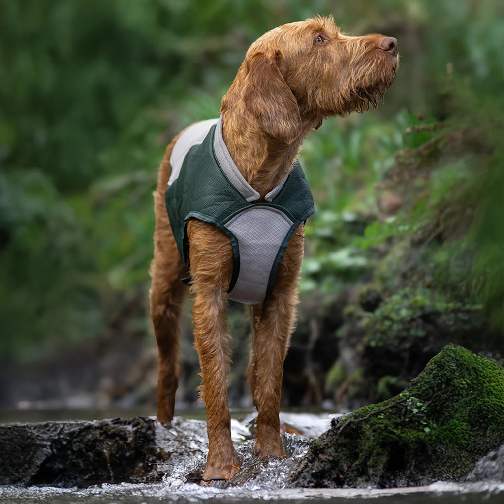 Ruff & Tumble Cooling Coat