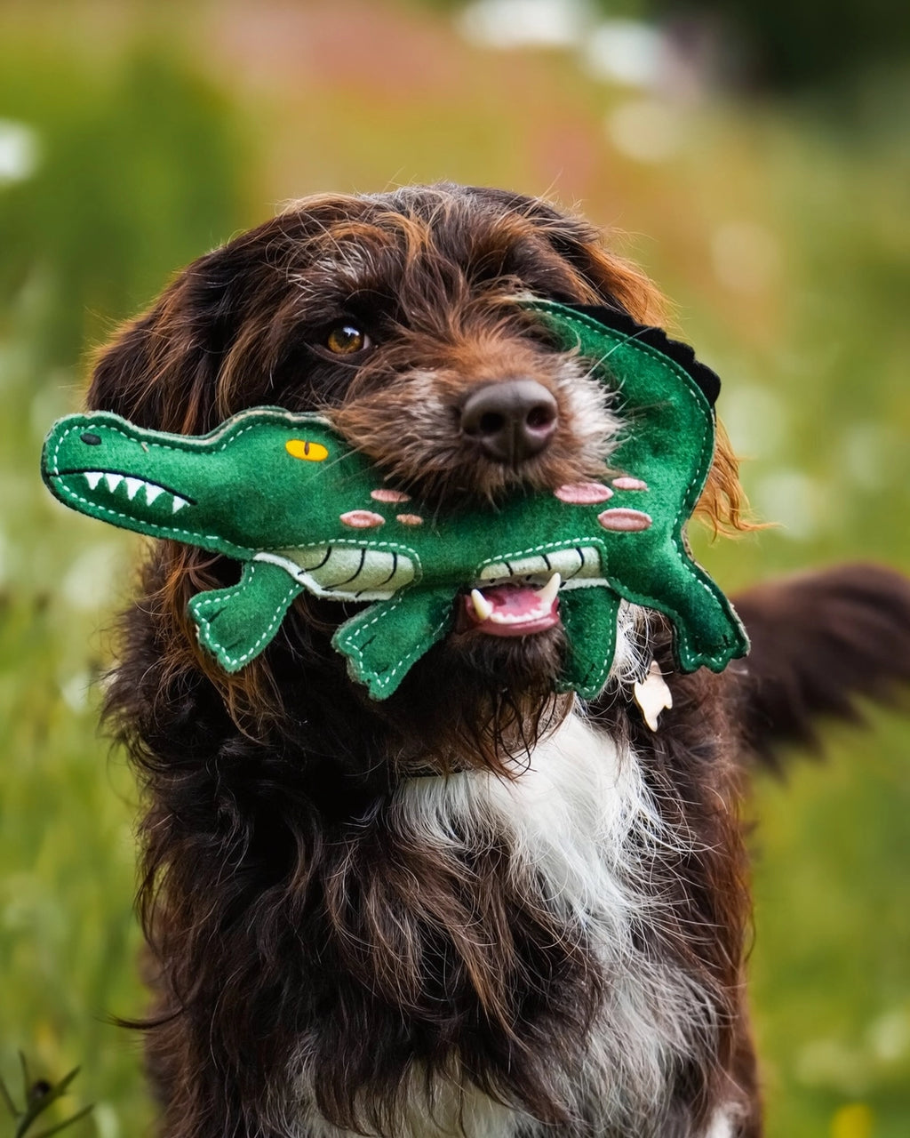 Clive the Crocodile | Eco-Friendly Dog Toy