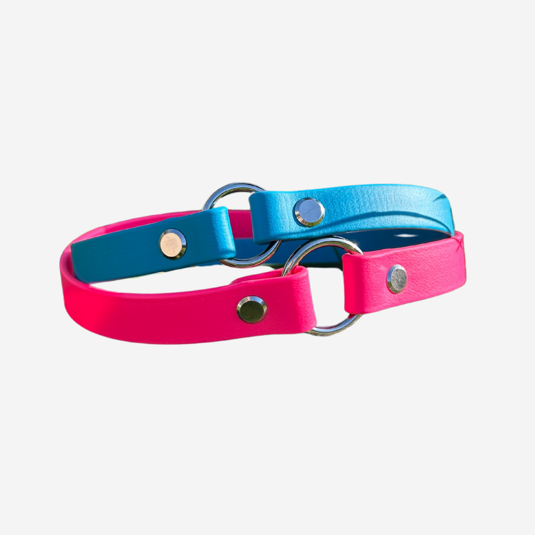 Explorer Tag Collar | Biothane Dog Tag Collar