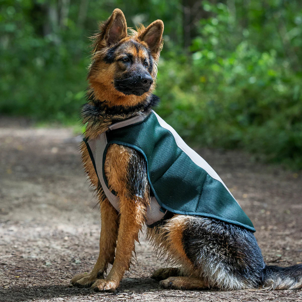 Ruff & Tumble Cooling Coat