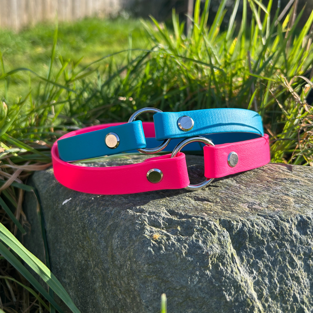 Explorer Tag Collar