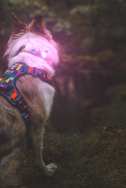 Trekbright™ Adjustable Rechargeable Dog Safety Light