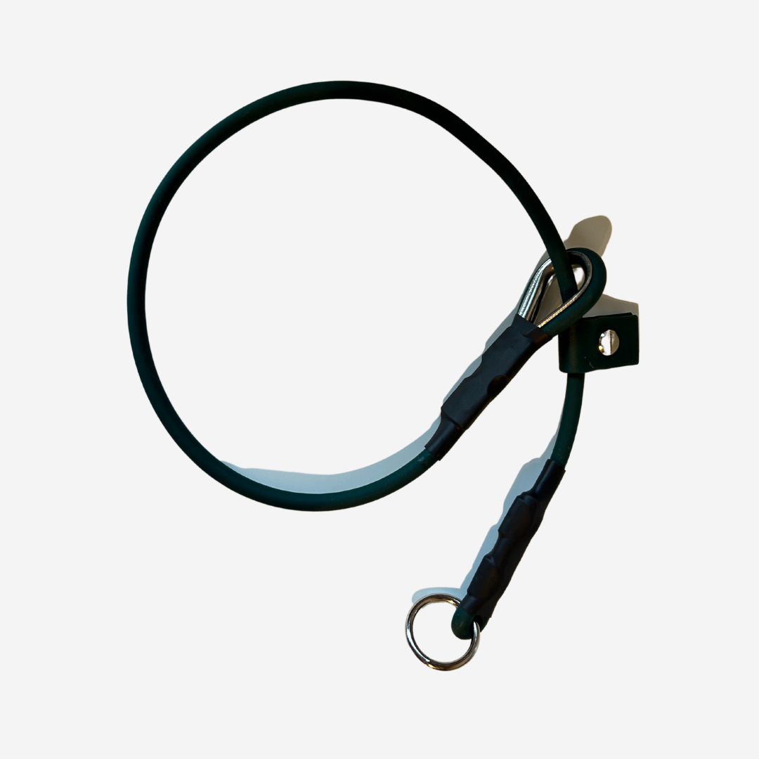 Biothane Slip Collar