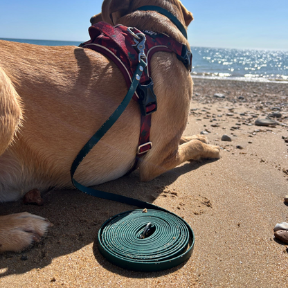 Pathfinder Biothane Longline for Dogs | Close up on Beach