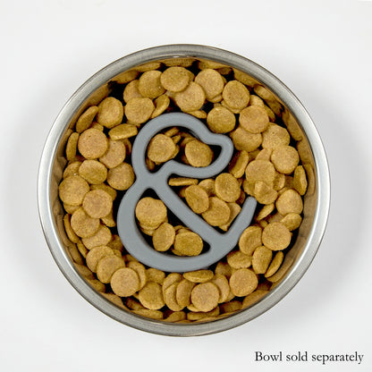 Lid-It Slow Feeder Insert
