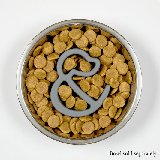 Lid-It Slow Feeder Insert