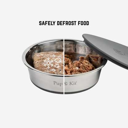 Lid-It Non Slip Sealable Bowl