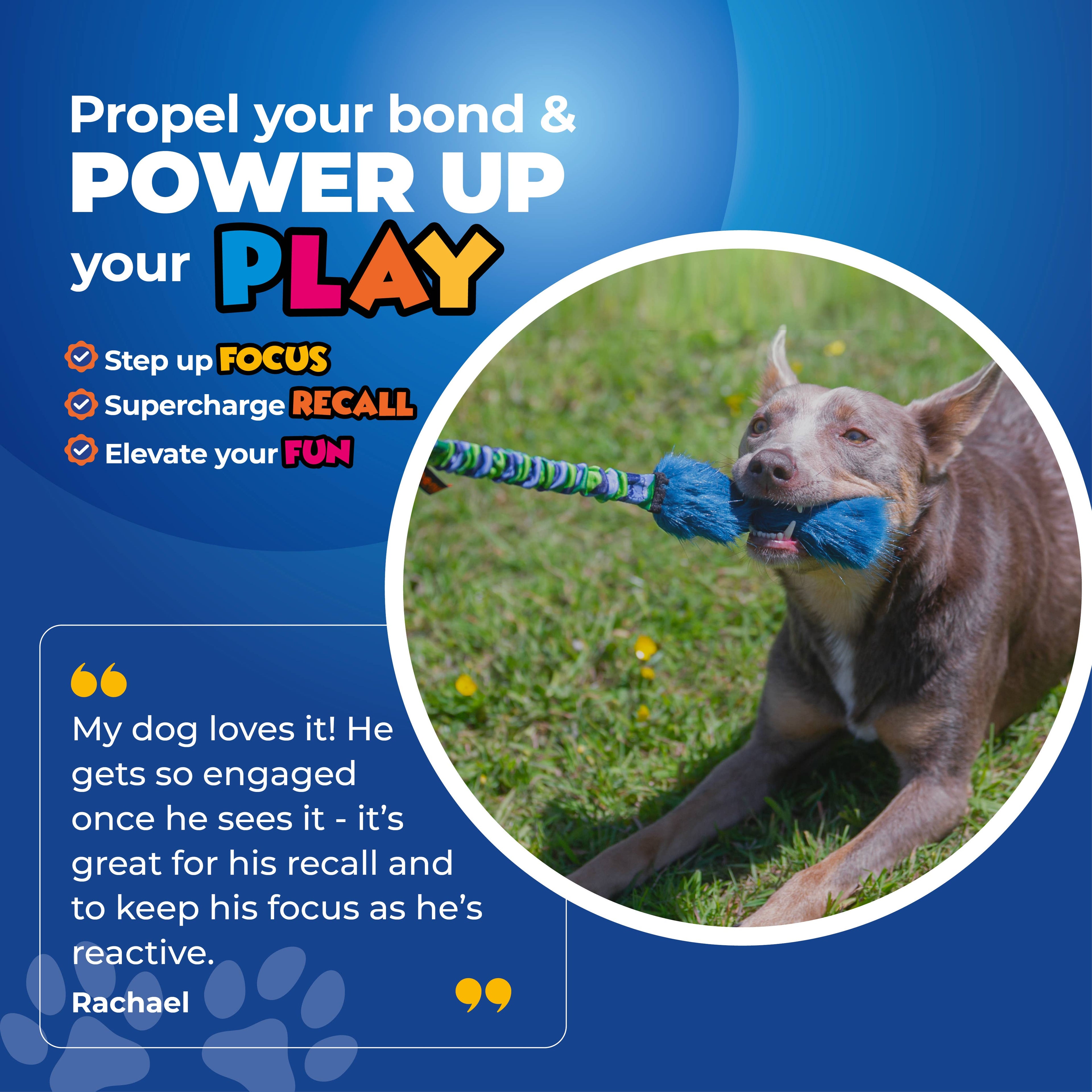 Bright Fauxtastic | Tough Dog Toy | Tug-E-Nuff