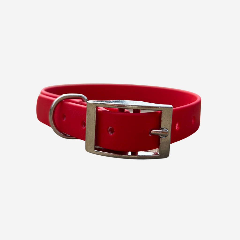 Outlet Biothane Collar