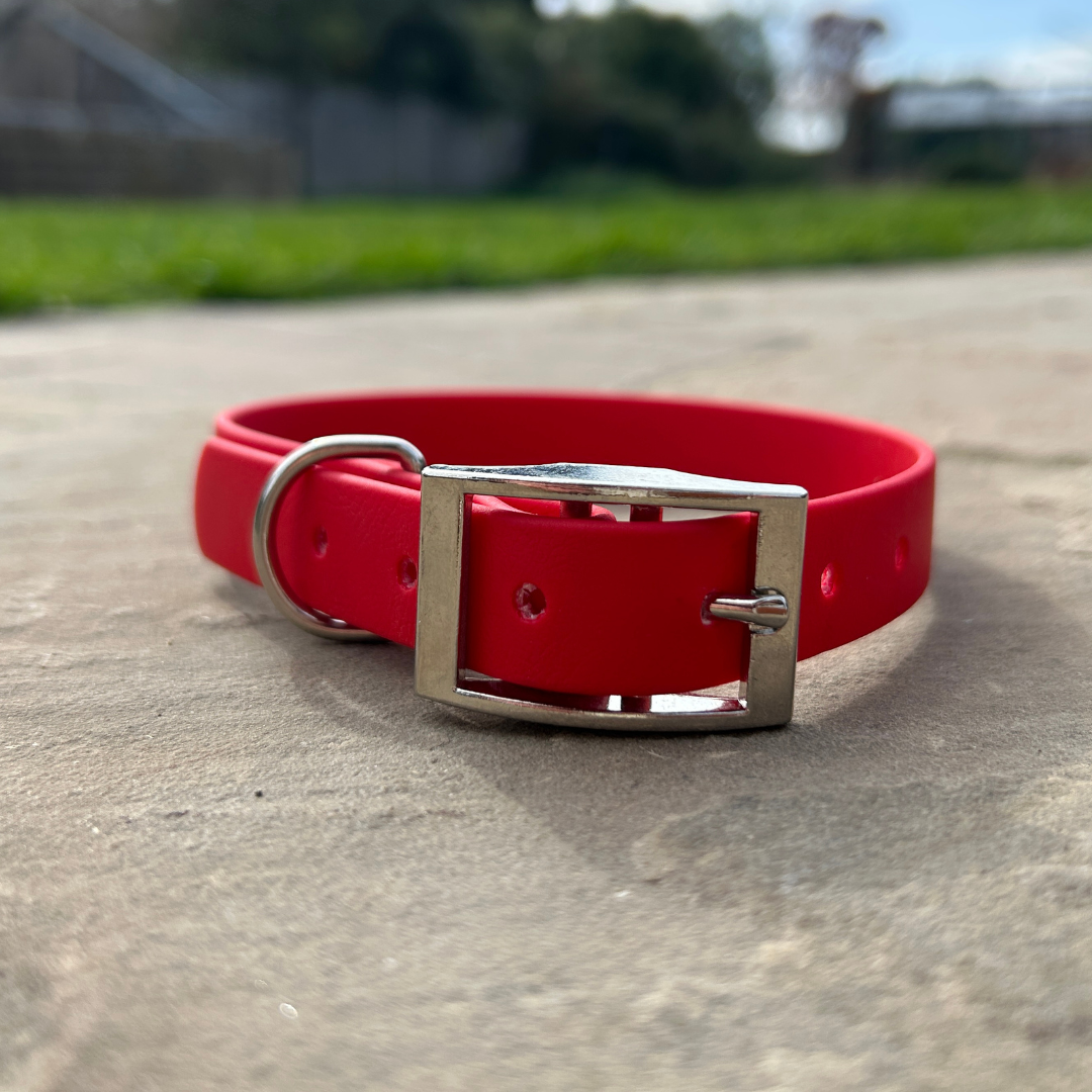 Biothane Collar