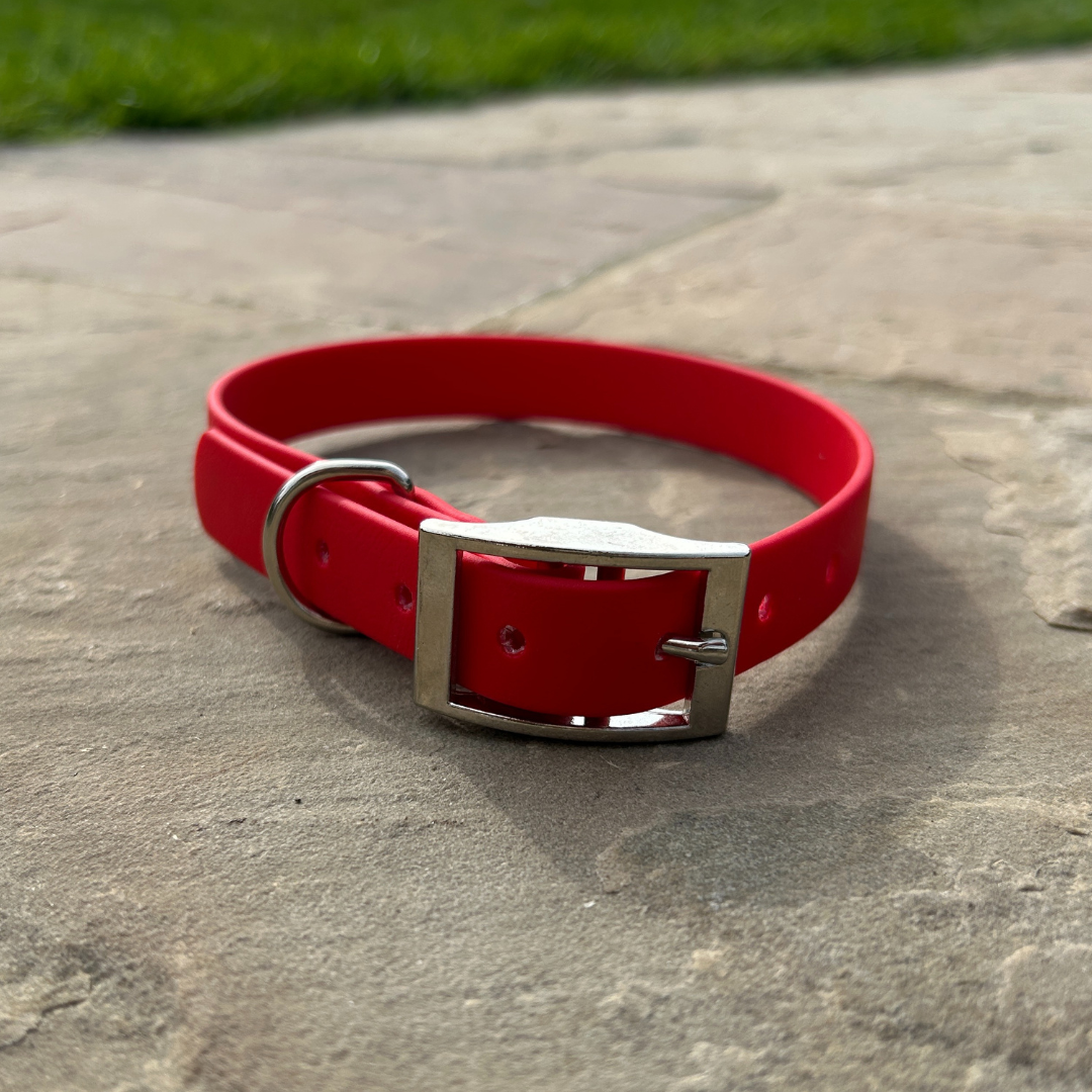Biothane Collar