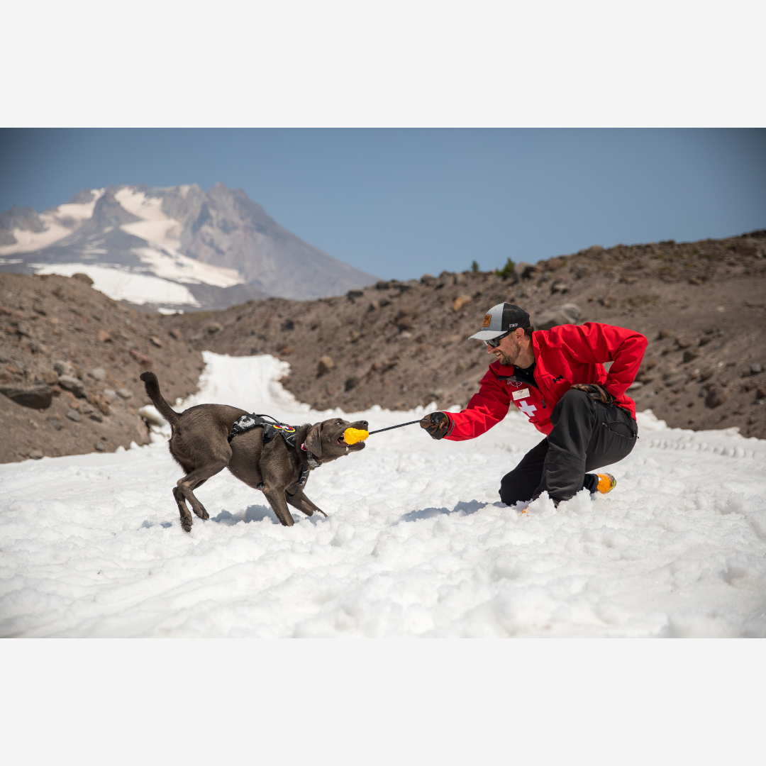Ruffwear Huck-a-Cone™