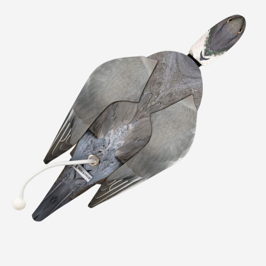 Dog & Field Original Clone - Wood Pigeon