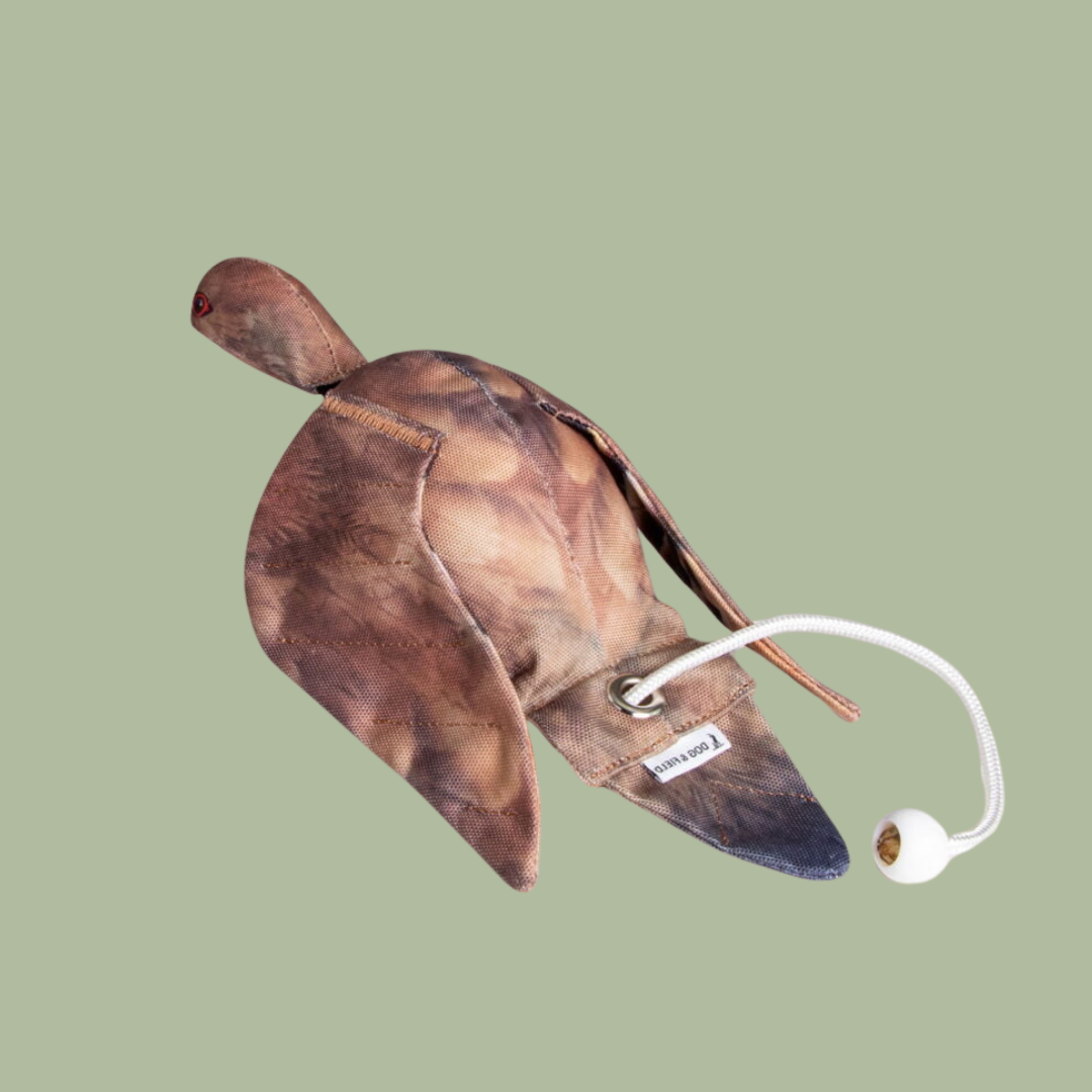 Dog & Field Original Clone - Partridge