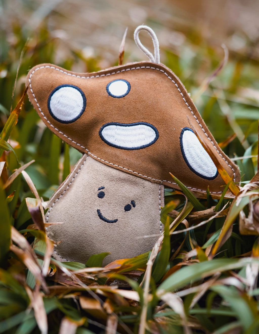 Chestnut the Mushroom | Eco-Friendly Dog Toy