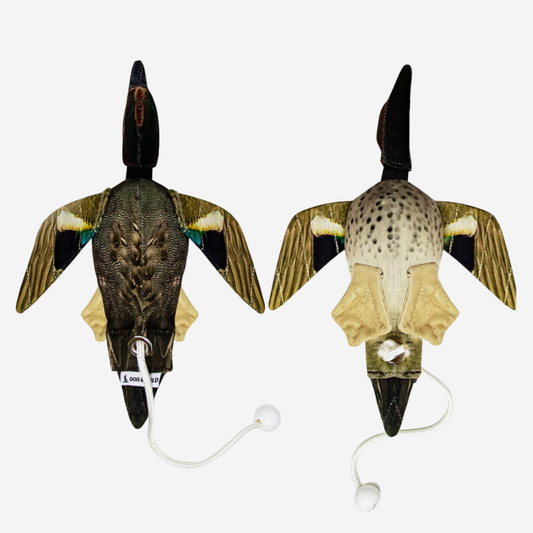 Dog & Field Original Clone - Teal