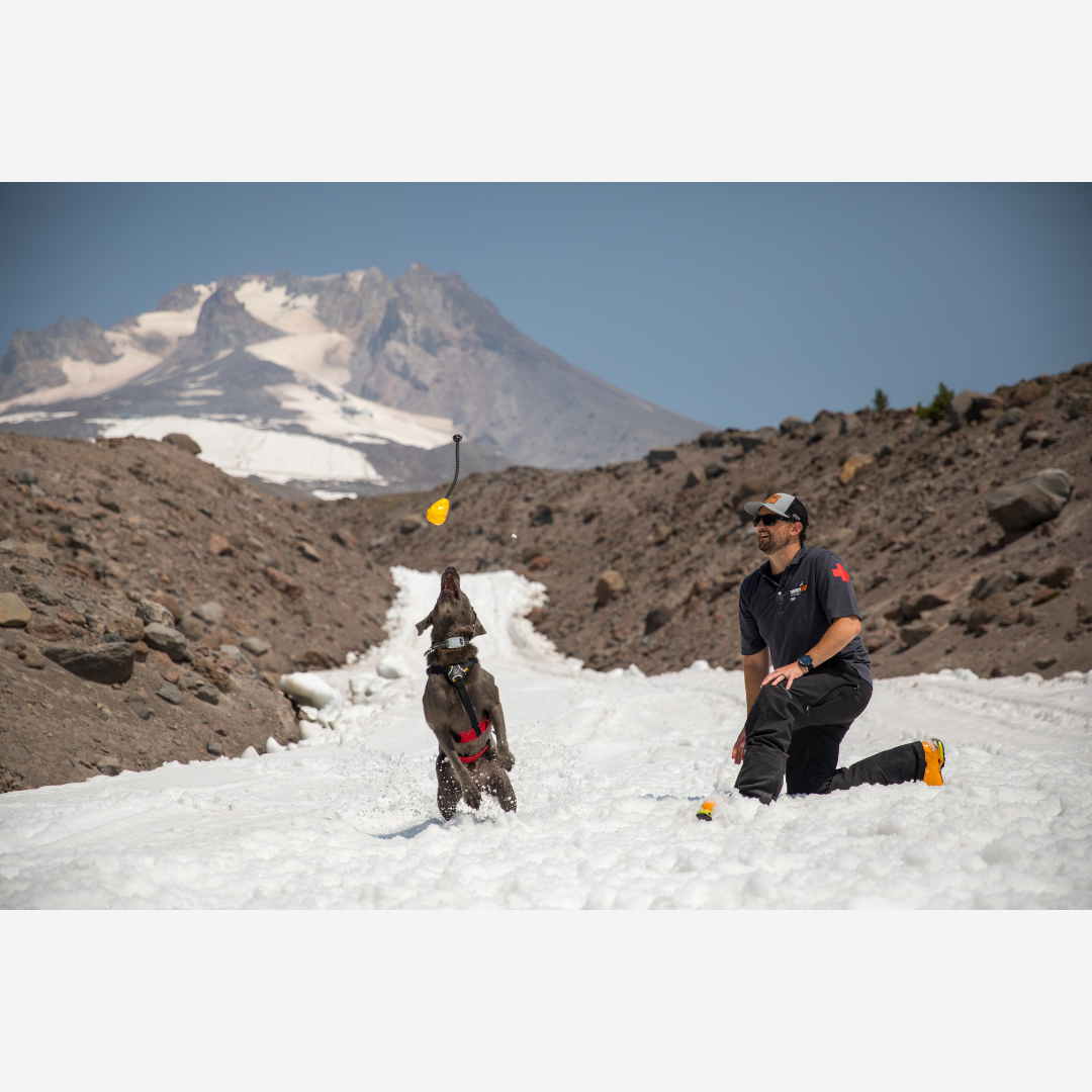 Ruffwear Huck-a-Cone™