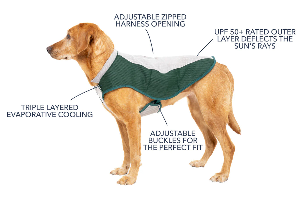 Ruff & Tumble Cooling Coat