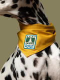 Camp Canine Iron On Patch