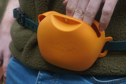 Ridge Treat Pouch