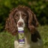 Pureflax Energy Bar