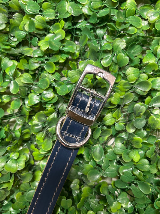 Leather Dog Collar