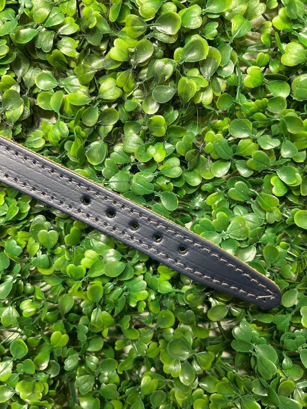 Leather Dog Collar