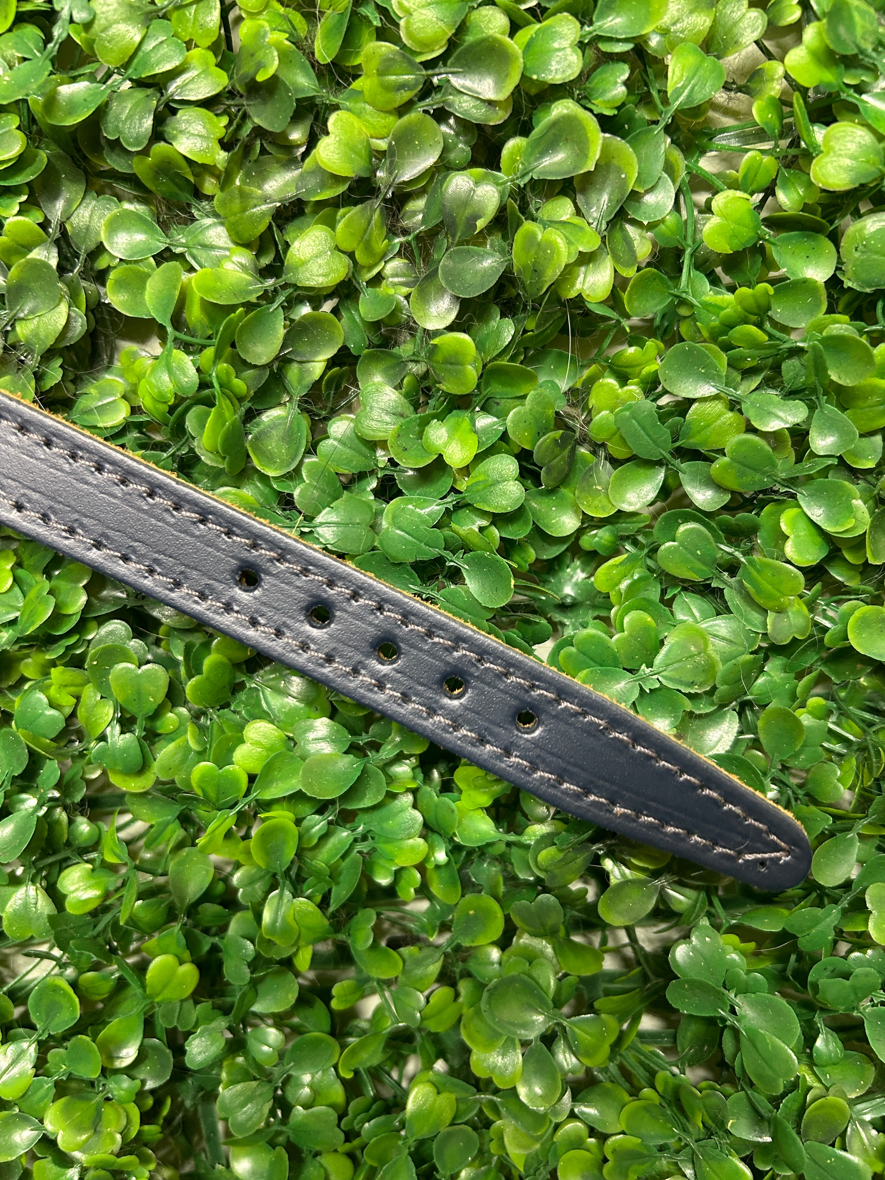 Leather Dog Collar