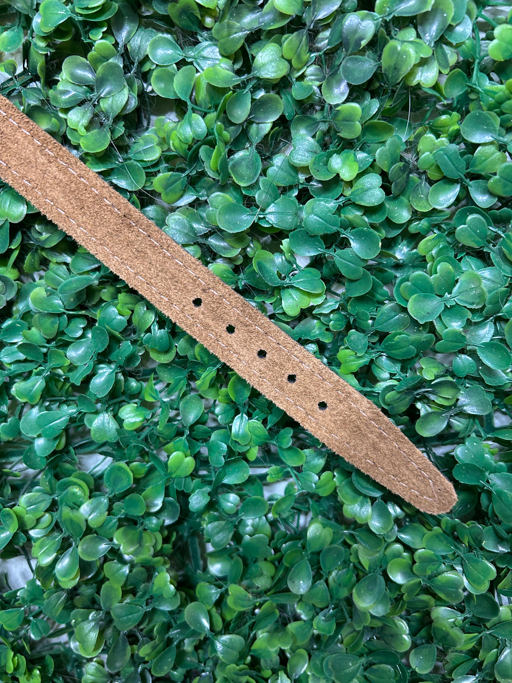 Leather Dog Collar